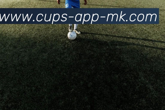 MK体育APP 封面图